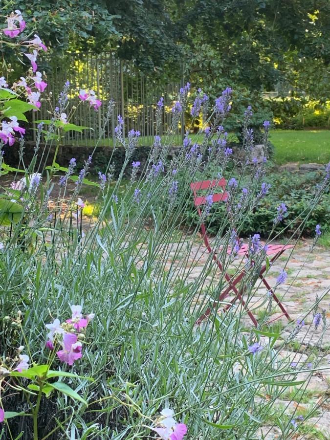 Moulin De Champrond -Montmirail -Sarthe Bed & Breakfast Exterior photo
