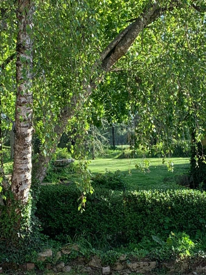 Moulin De Champrond -Montmirail -Sarthe Bed & Breakfast Exterior photo