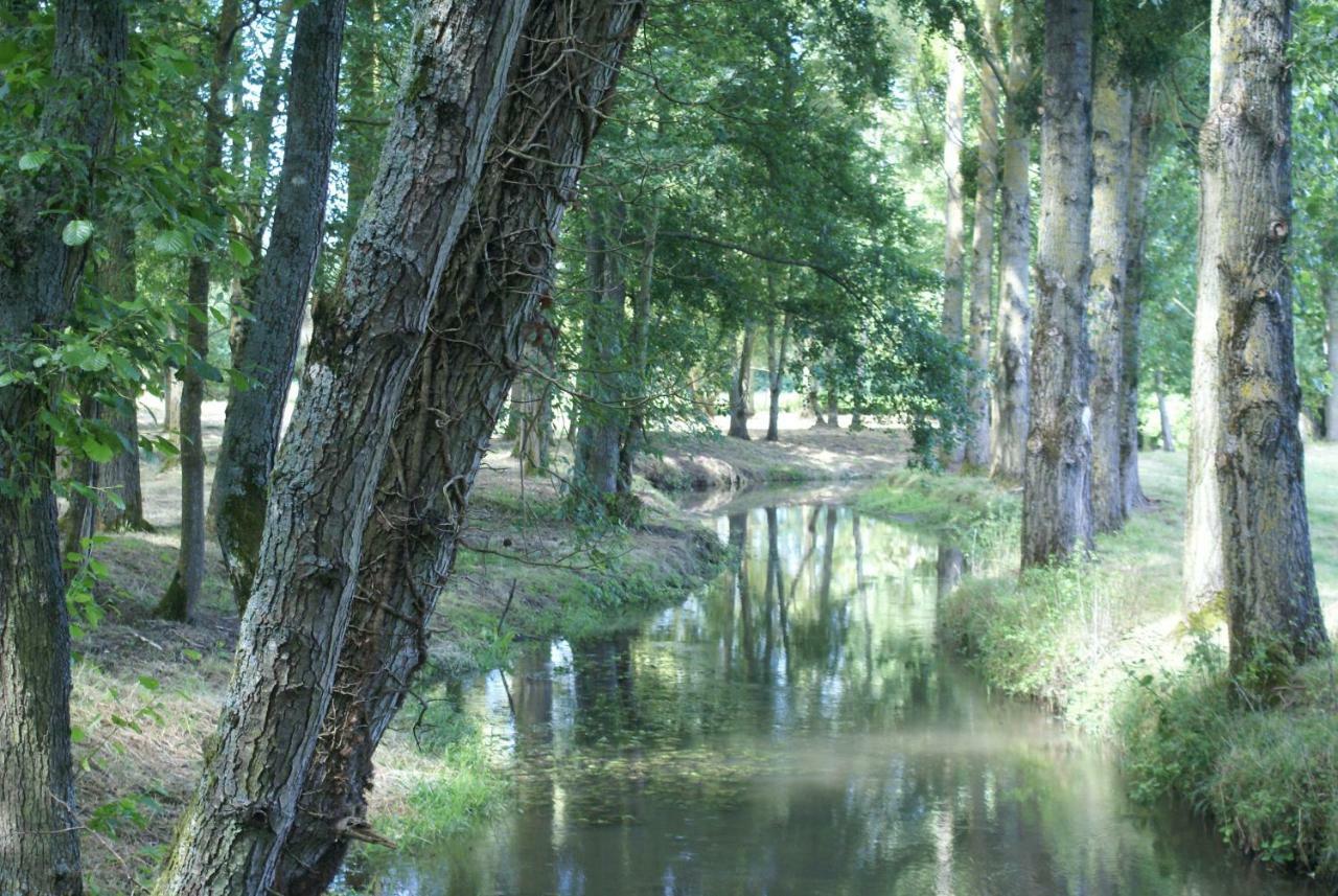 Moulin De Champrond -Montmirail -Sarthe Bed & Breakfast Exterior photo