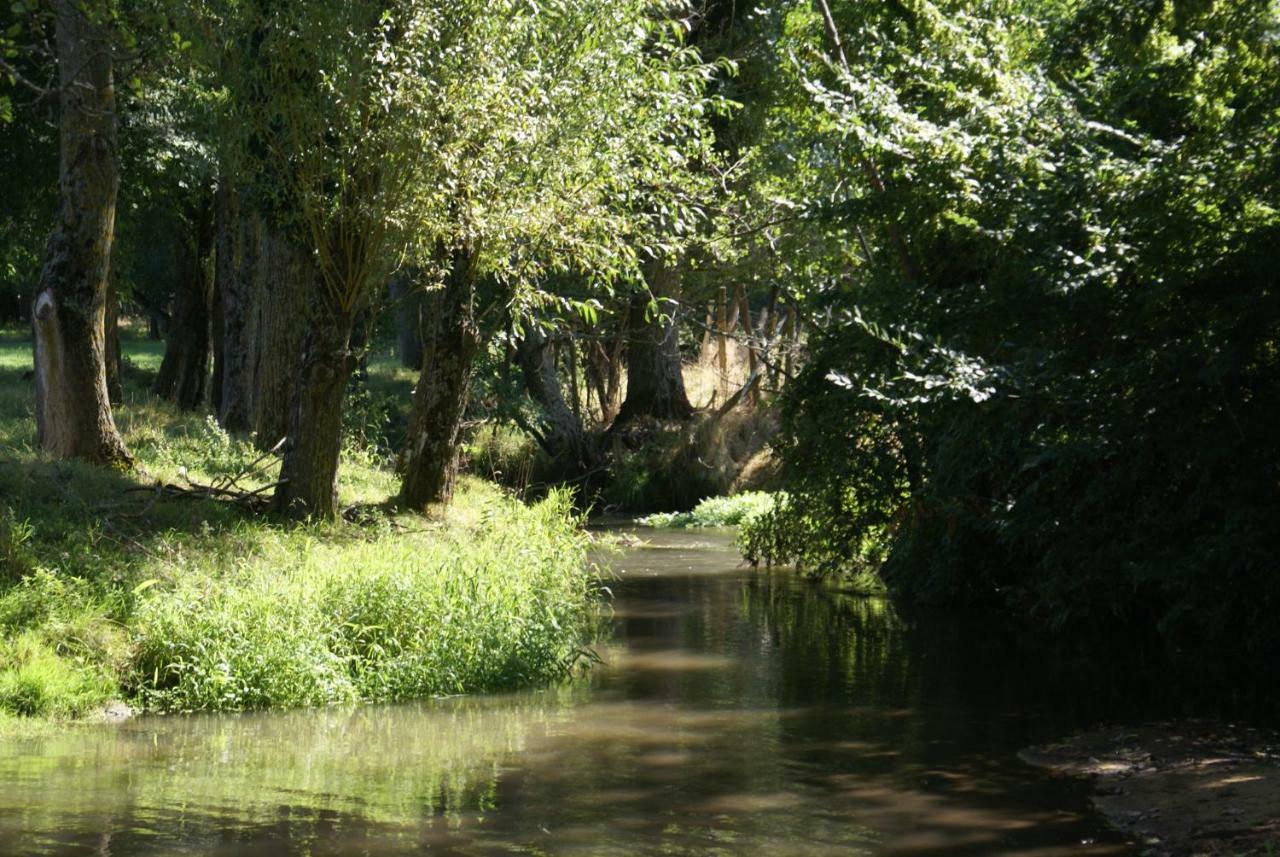 Moulin De Champrond -Montmirail -Sarthe Bed & Breakfast Exterior photo
