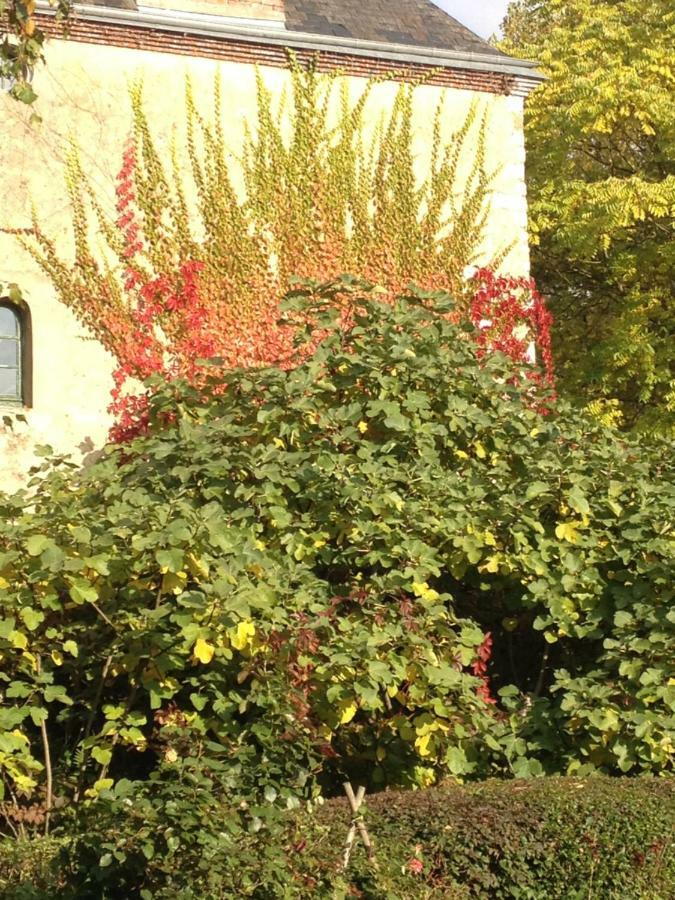 Moulin De Champrond -Montmirail -Sarthe Bed & Breakfast Exterior photo