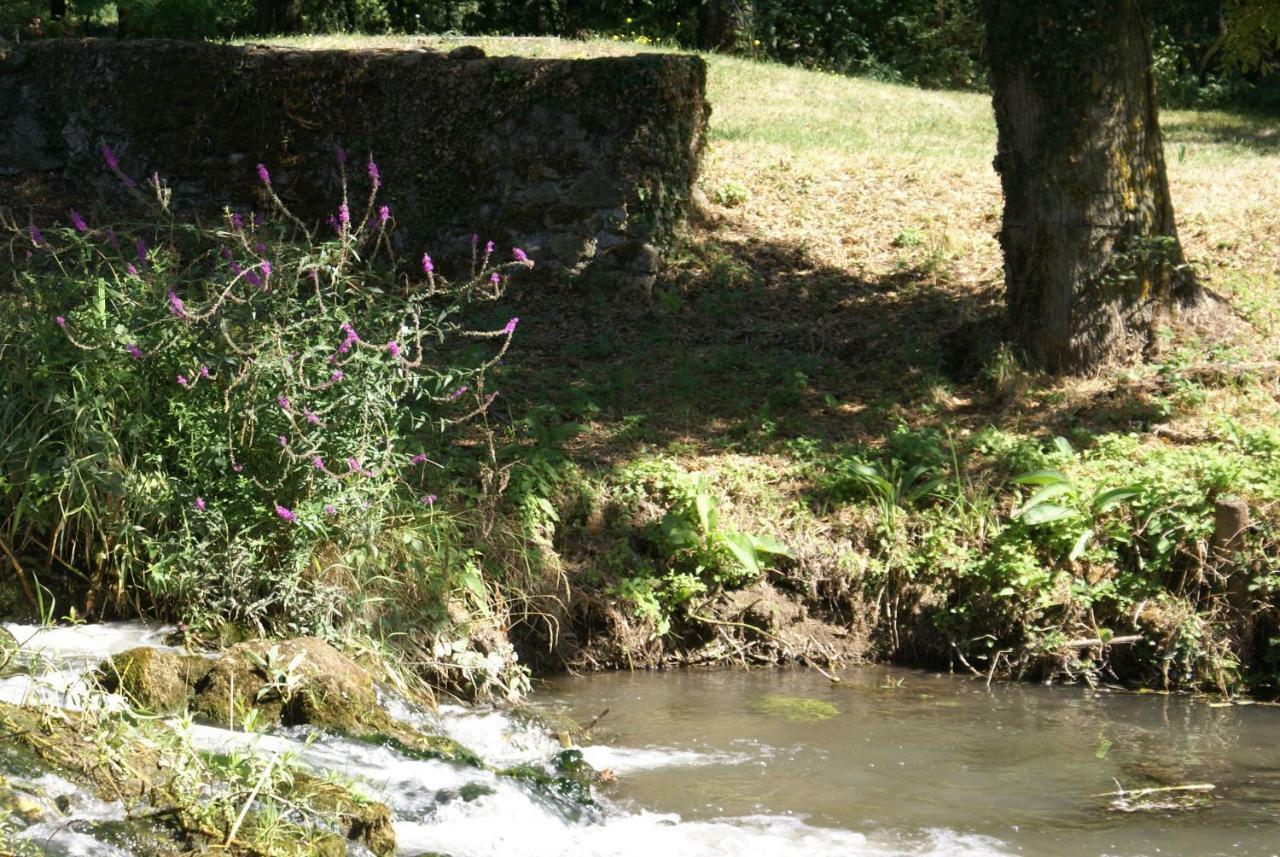 Moulin De Champrond -Montmirail -Sarthe Bed & Breakfast Exterior photo